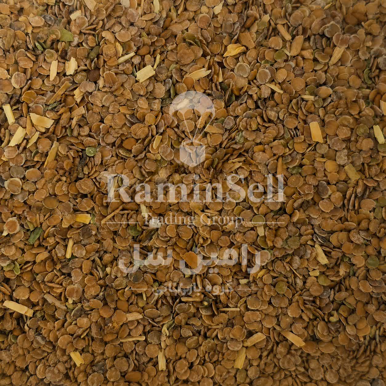 عکس بذر گل شب بو ایرانی